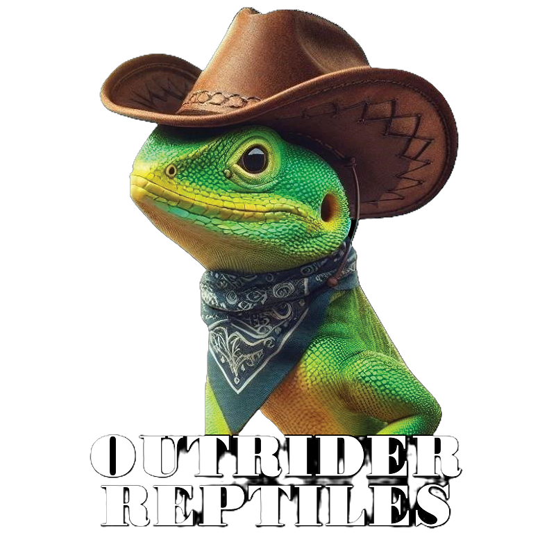 Outrider Reptiles brand character