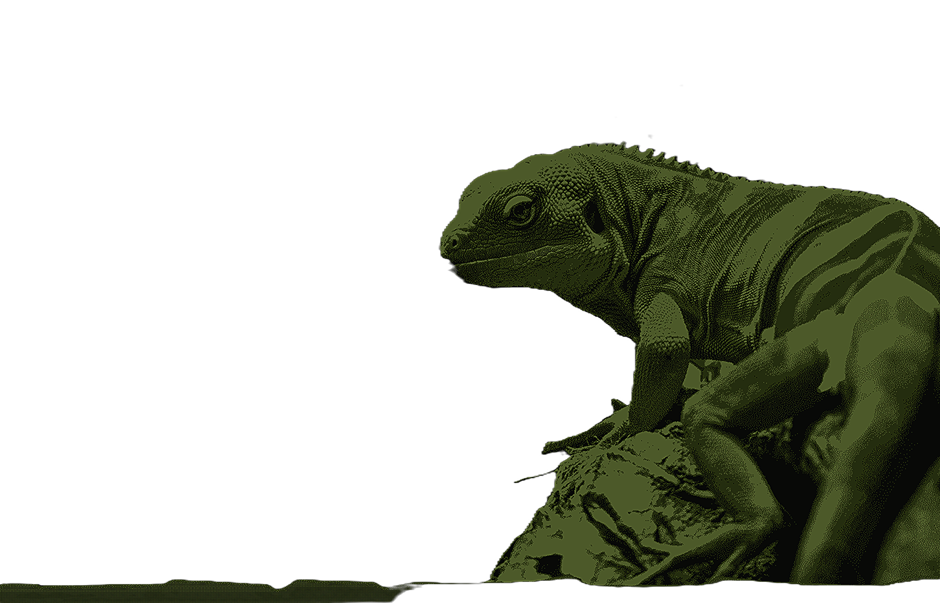 Outrider Reptiles mascot